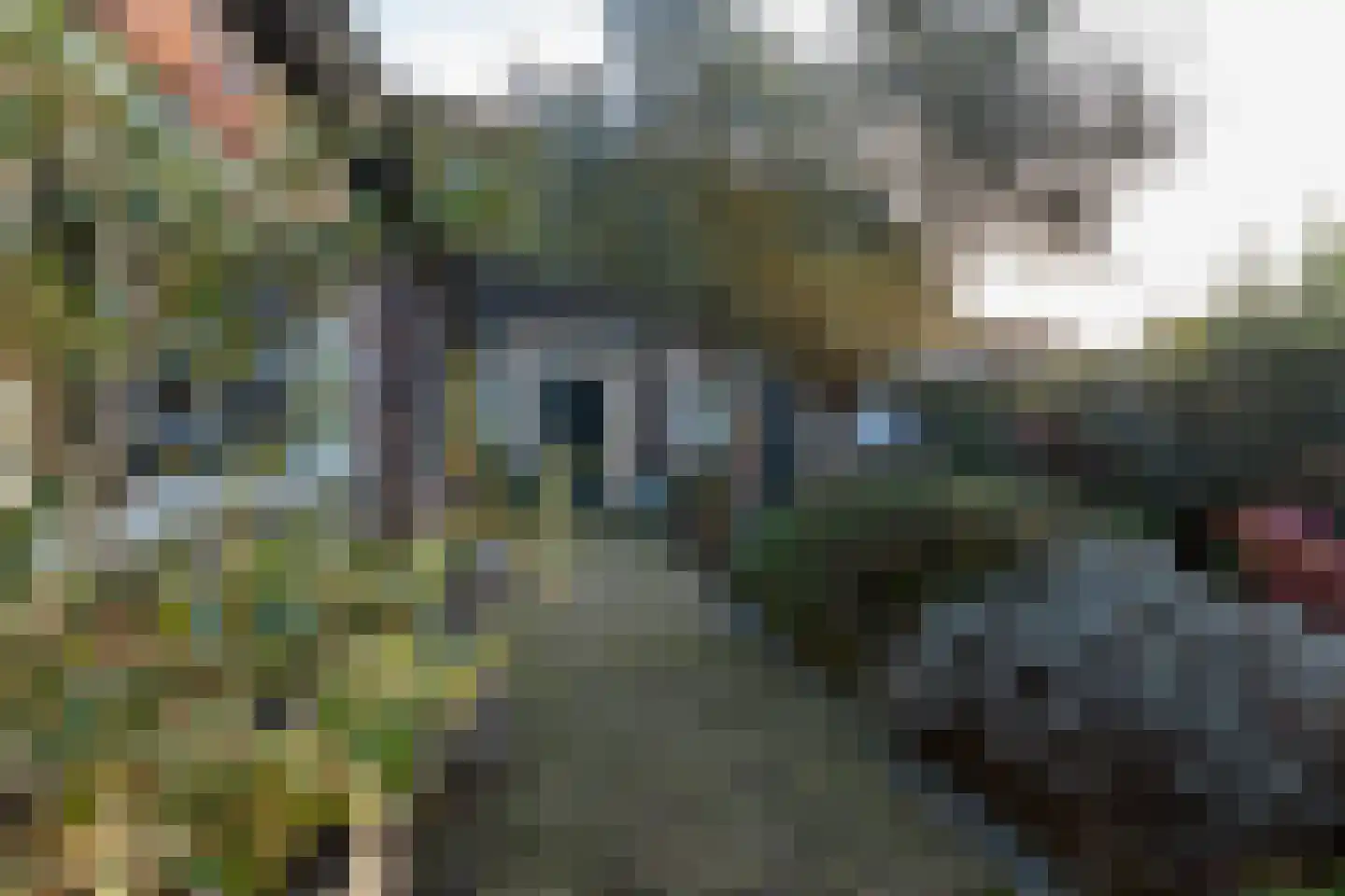 Veerseweg 54 Veere thumbnail 60