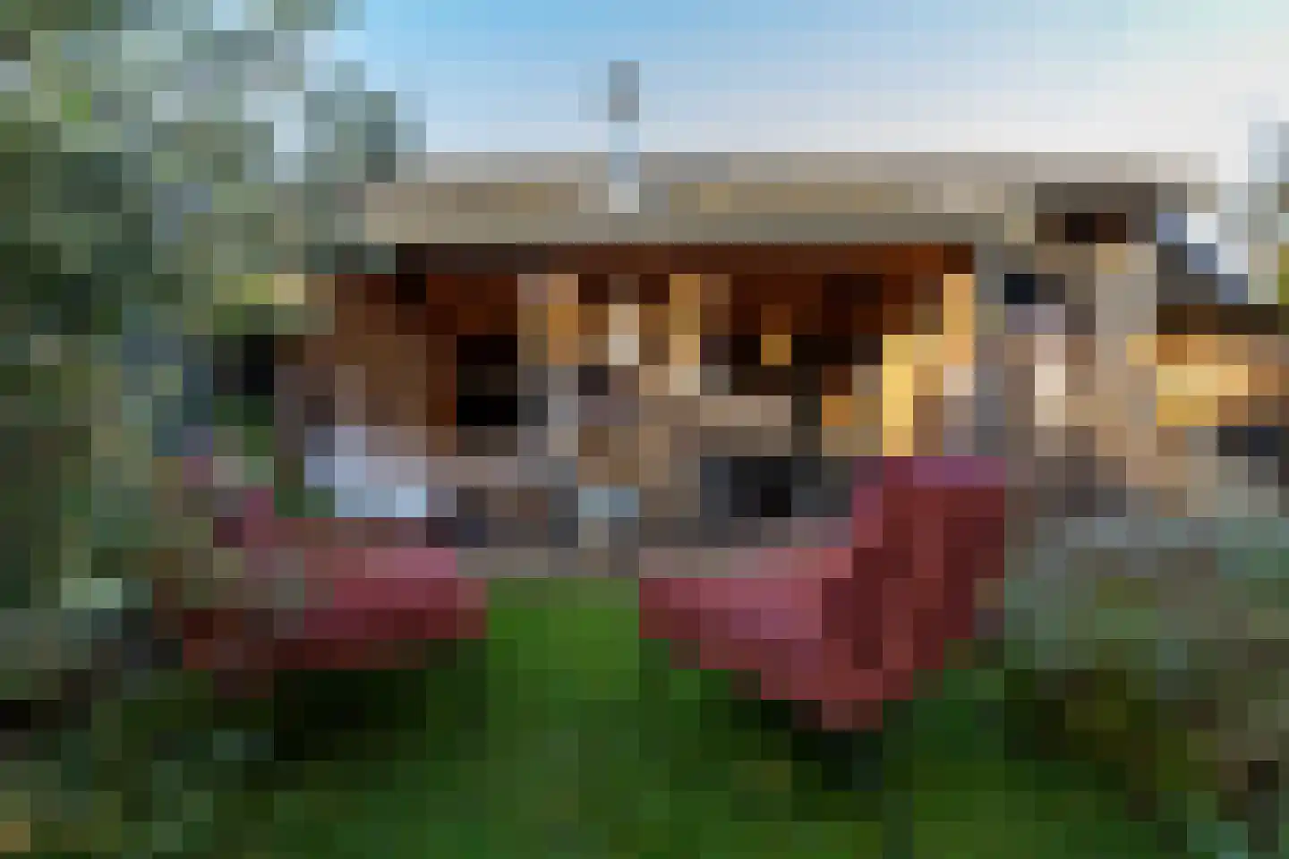 Veerseweg 54 Veere thumbnail 63