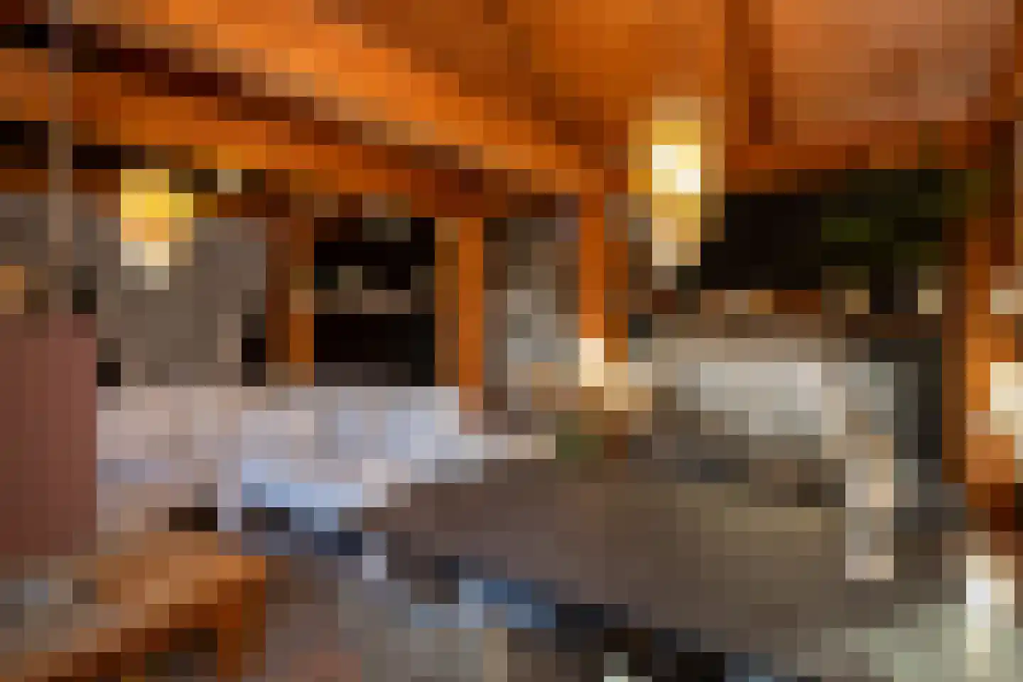 Veerseweg 54 Veere thumbnail 64