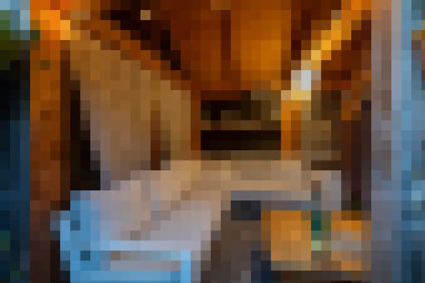 Veerseweg 54 Veere thumbnail 69