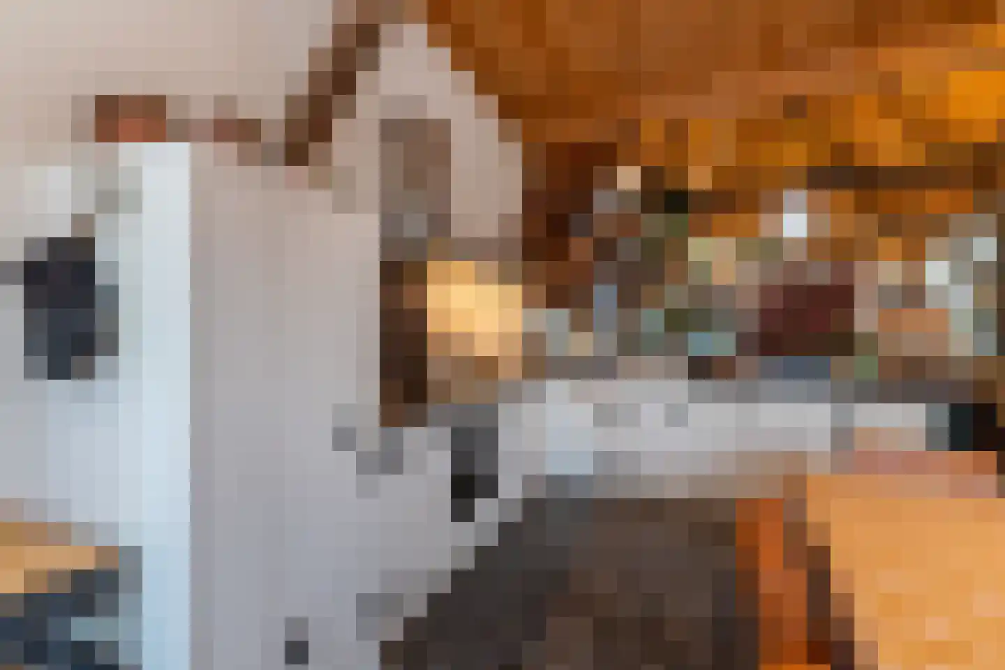 Veerseweg 54 Veere thumbnail 7