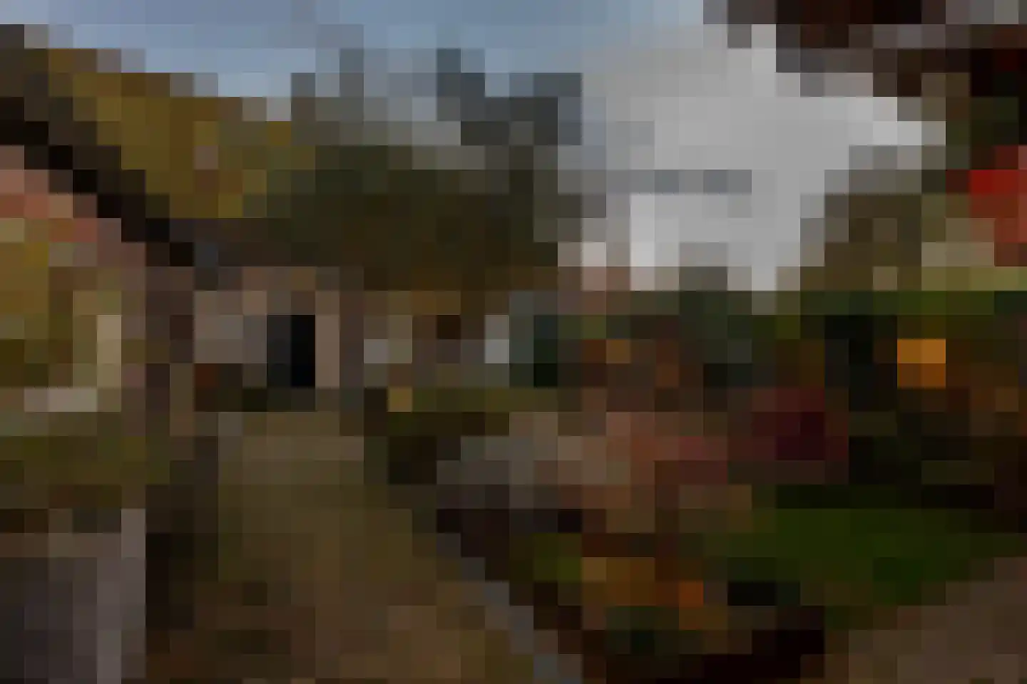 Veerseweg 54 Veere thumbnail 70