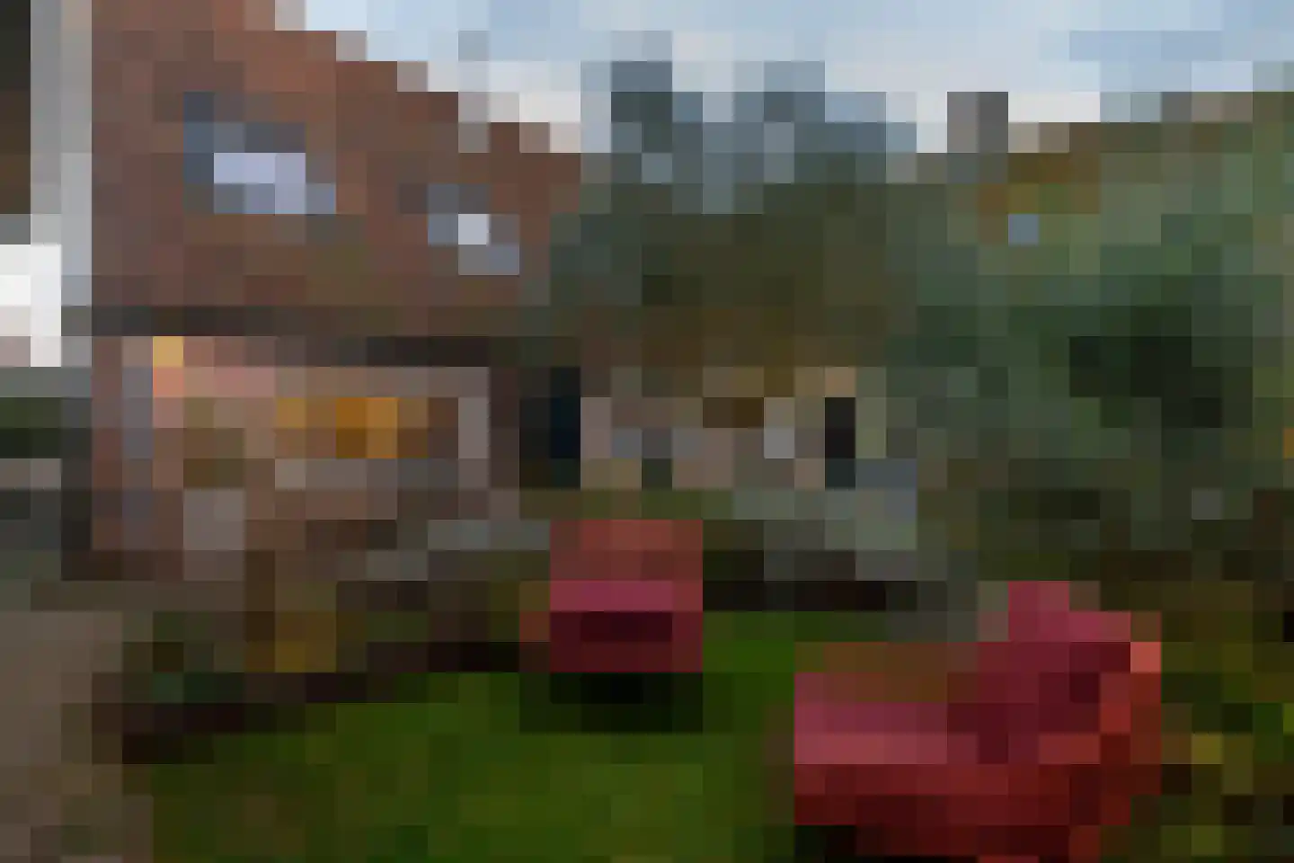 Veerseweg 54 Veere thumbnail 71