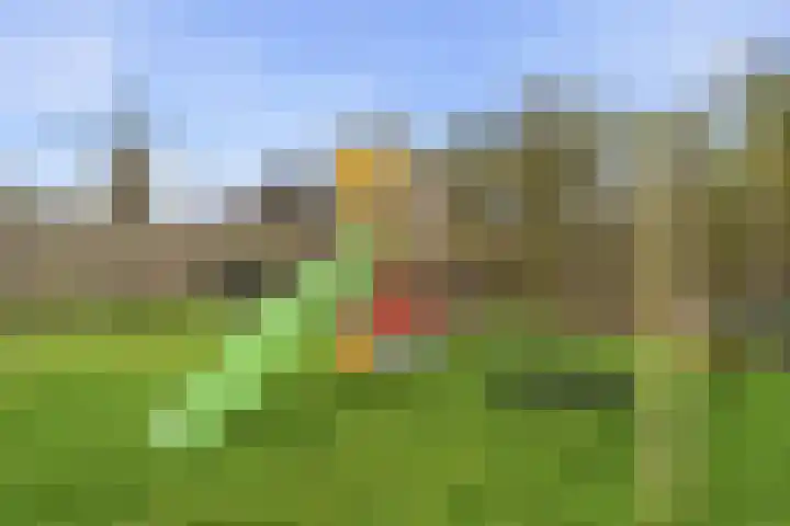 Veerseweg 60 Middelburg thumbnail 17