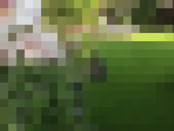 Veerseweg 65 Oosterhout thumbnail 5