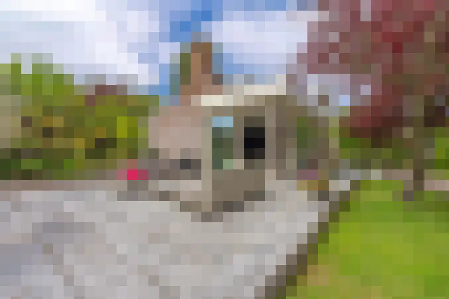 Veerseweg 86 Middelburg thumbnail 27