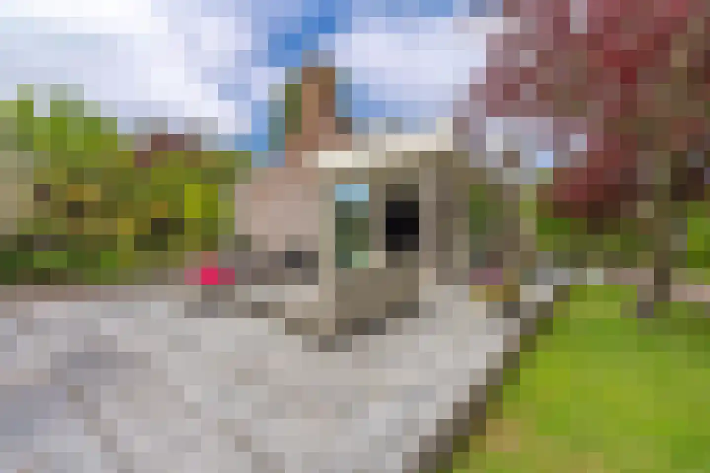 Veerseweg 86 Middelburg thumbnail 32