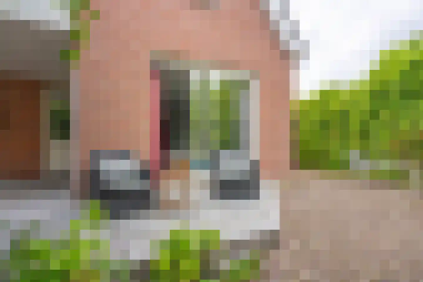 Veerseweg 86 Middelburg thumbnail 41