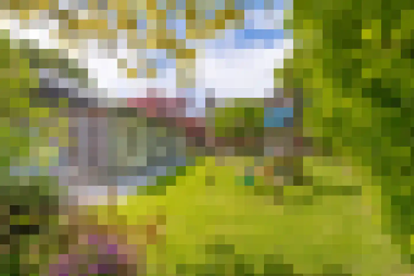 Veerseweg 86 Middelburg thumbnail 5
