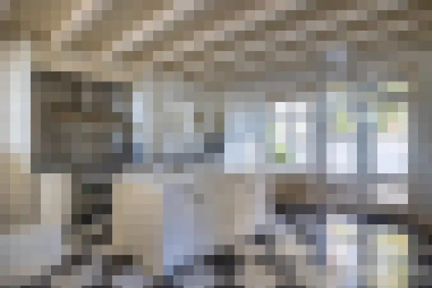 Veerstal 10 Gouda thumbnail 19
