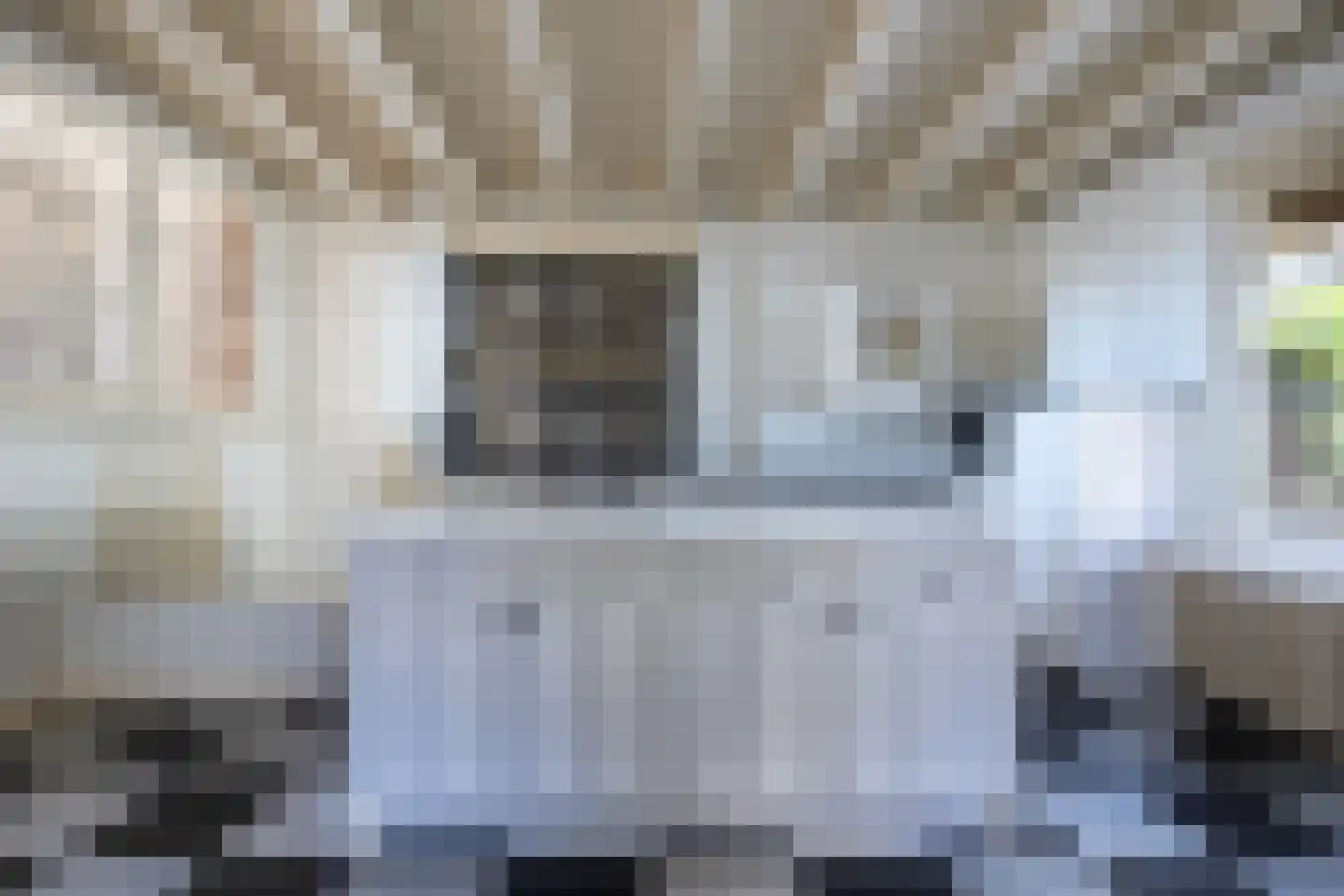 Veerstal 10 Gouda thumbnail 21