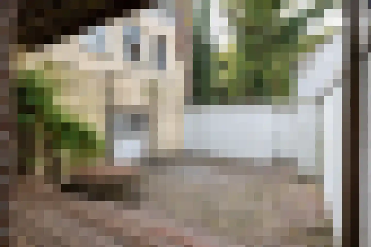 Veerstal 10 Gouda thumbnail 4