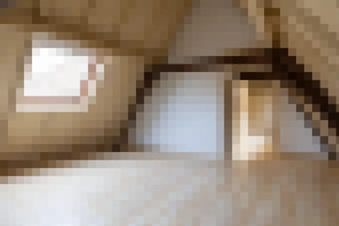 Veerstal 10 Gouda thumbnail 45