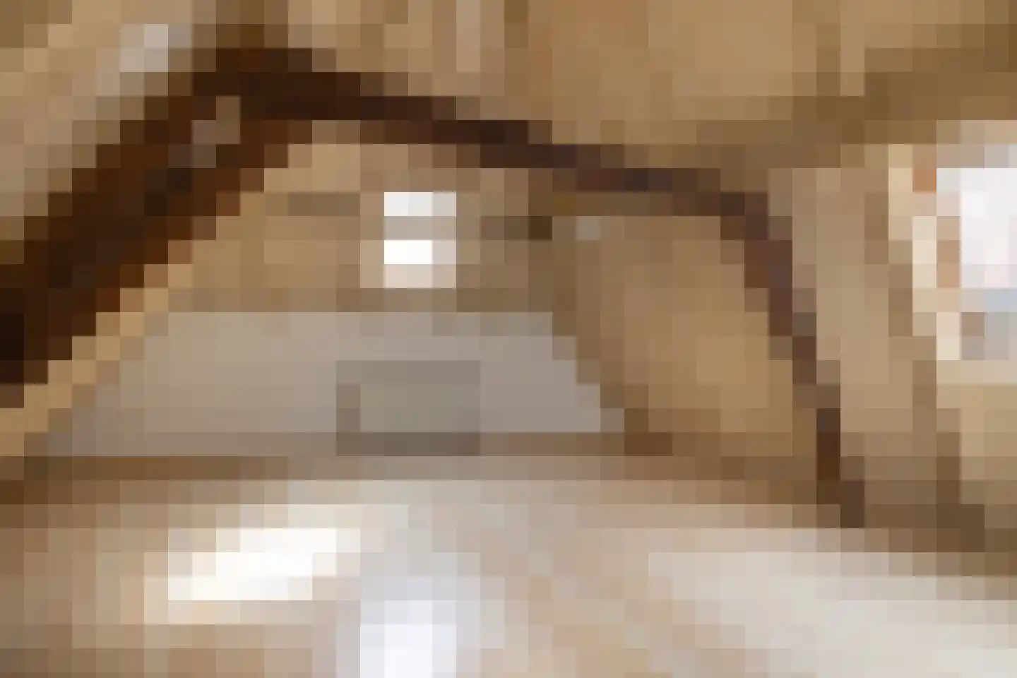 Veerstal 10 Gouda thumbnail 47