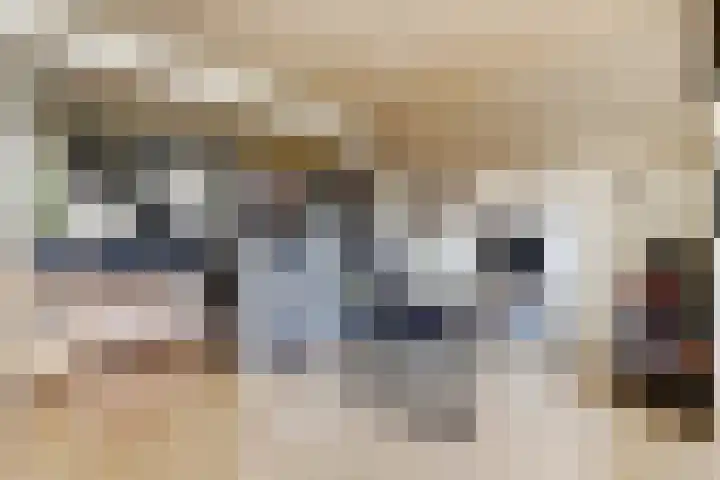 Veerstal 24 a Gouda thumbnail 7