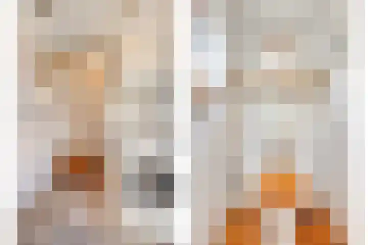 Veerstalblok 21 Gouderak thumbnail 13