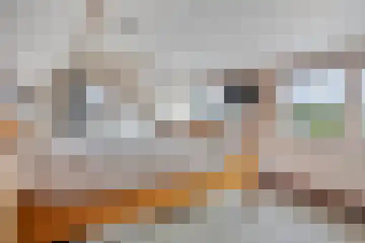 Veerstalblok 21 Gouderak thumbnail 18