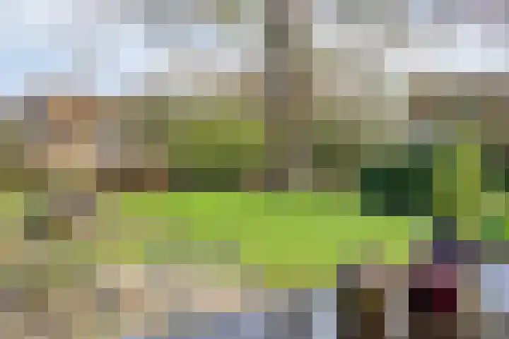 Veerstalblok 21 Gouderak thumbnail 27