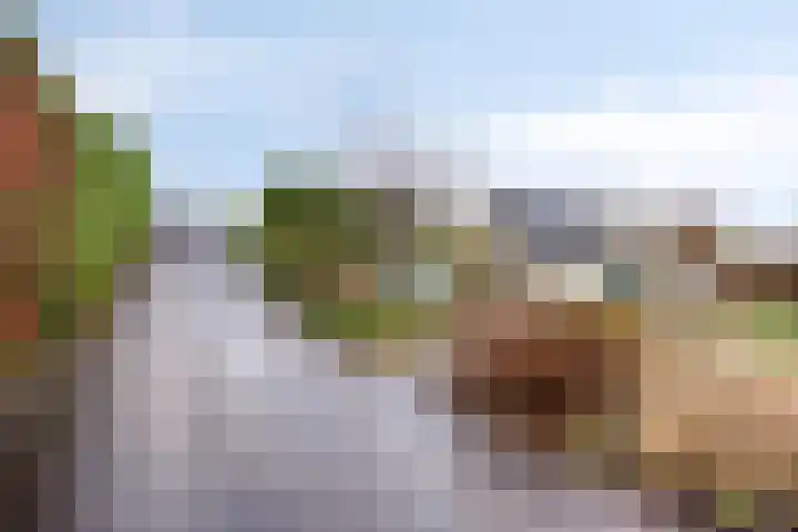 Veerstalblok 21 Gouderak thumbnail 29