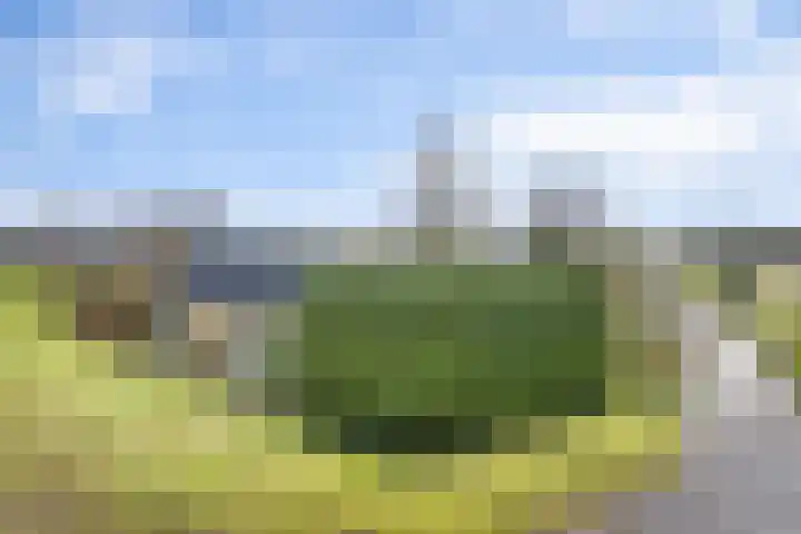 Veerstalblok 21 Gouderak thumbnail 30