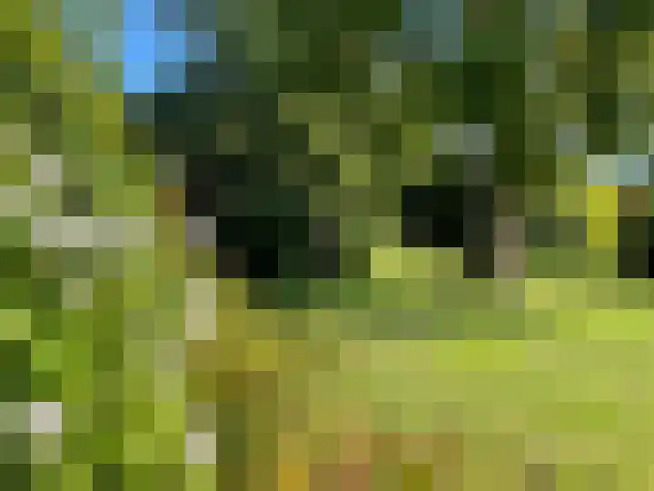 Veerstalblok 21 Gouderak thumbnail 31