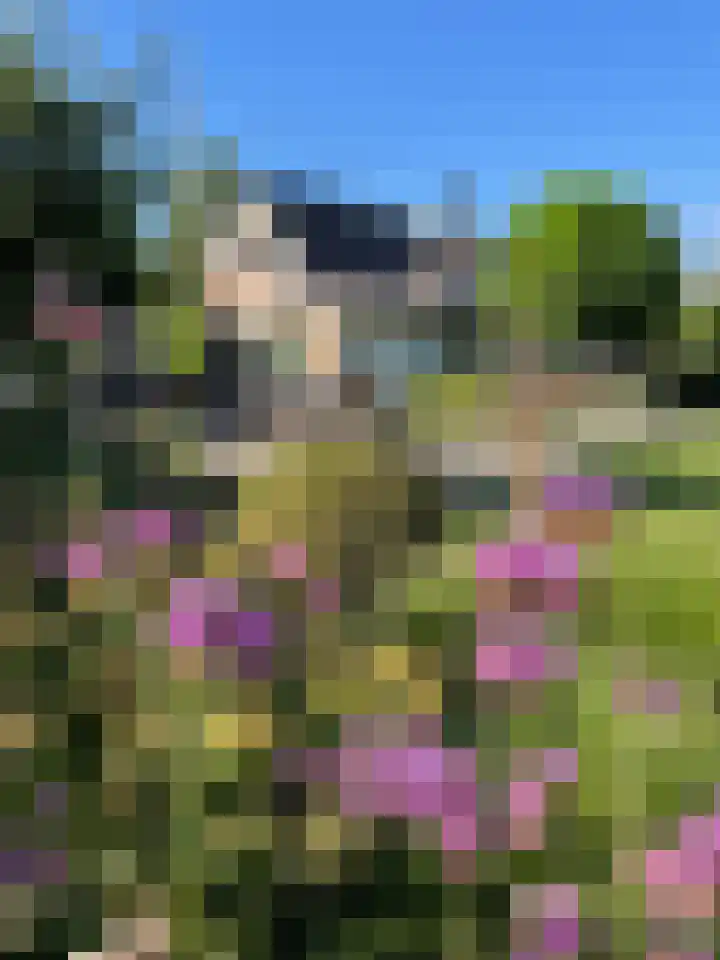 Veerstalblok 21 Gouderak thumbnail 32