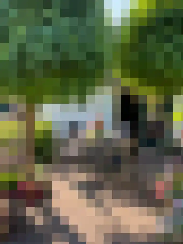 Veerstalblok 21 Gouderak thumbnail 33