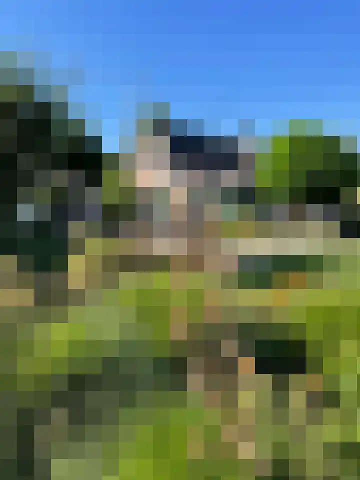 Veerstalblok 21 Gouderak thumbnail 35