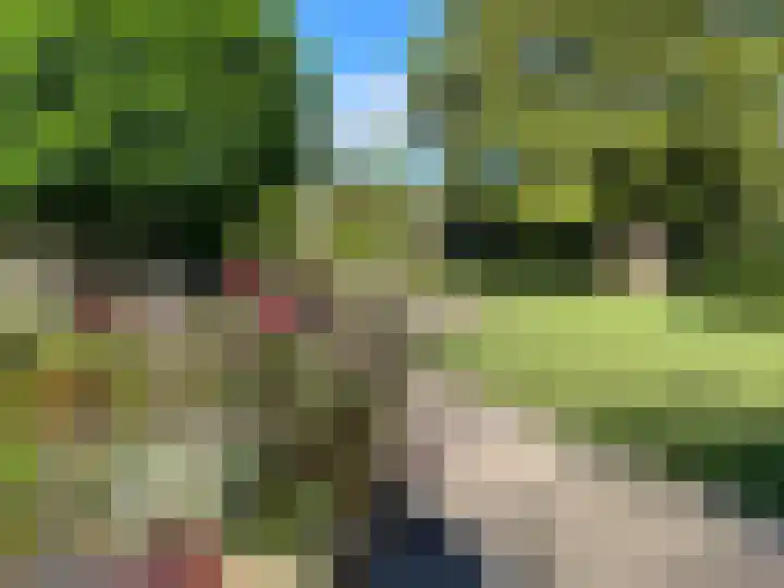 Veerstalblok 21 Gouderak thumbnail 36