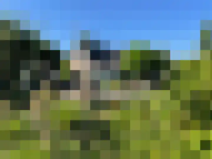 Veerstalblok 21 Gouderak thumbnail 5
