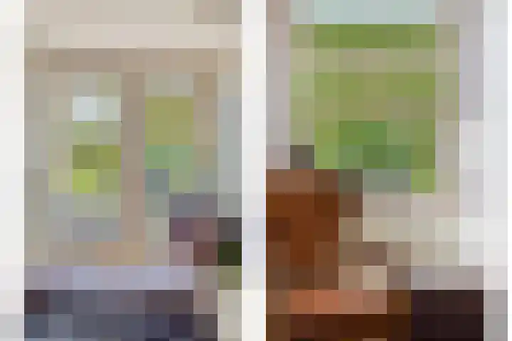 Veerstalblok 21 Gouderak thumbnail 8