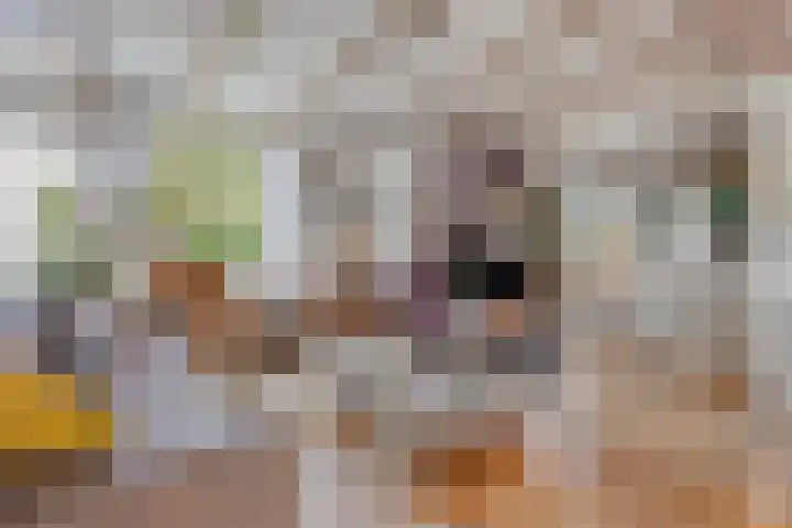 Veerstalblok 21 Gouderak thumbnail 9