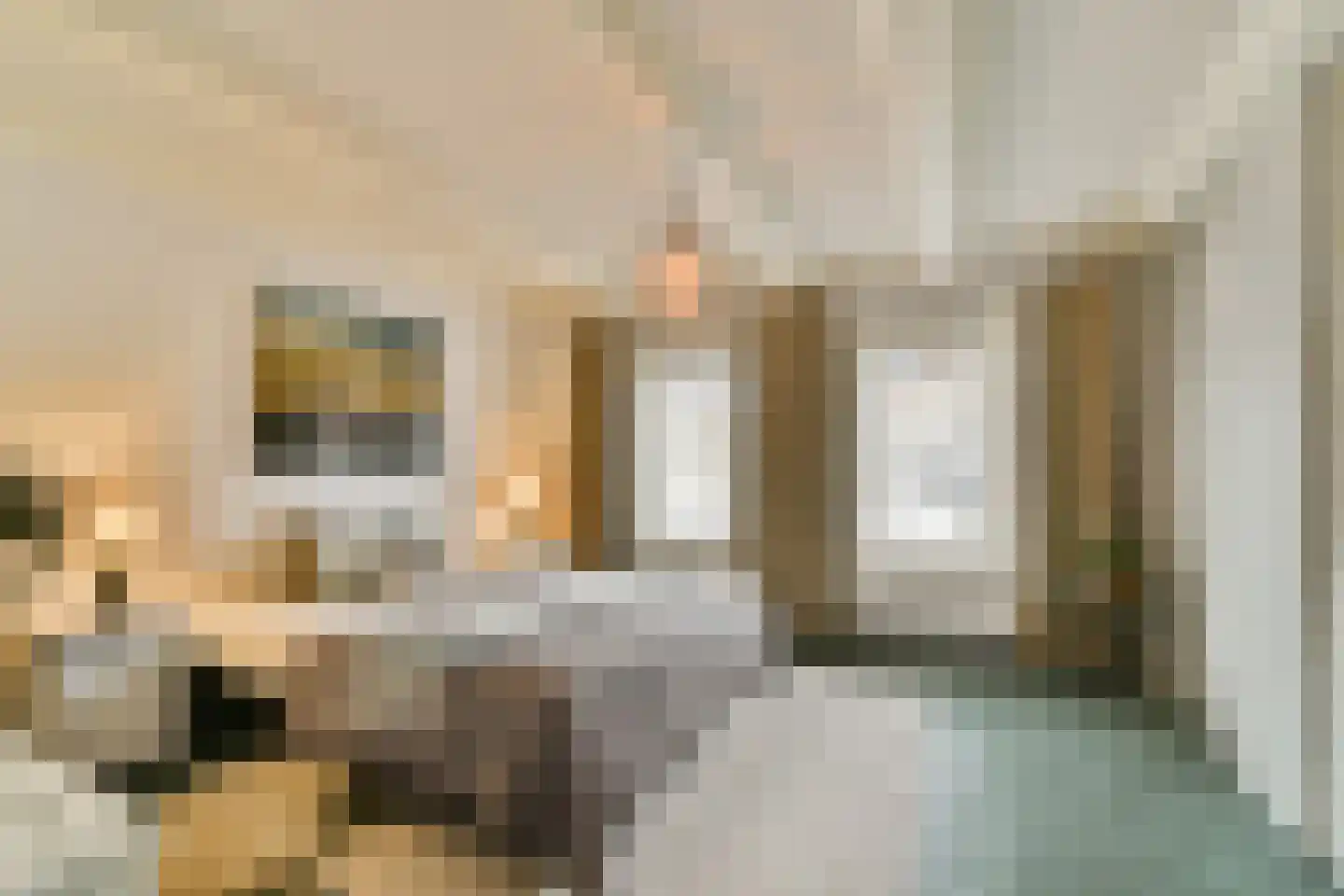 Veerstalblok 47 Gouderak thumbnail 19