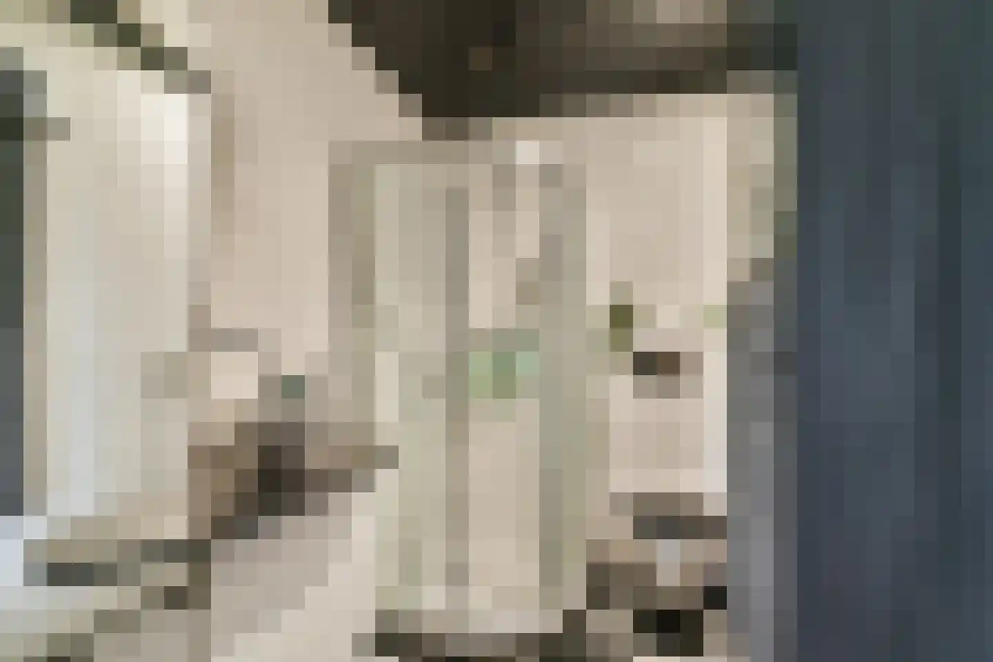 Veerstalblok 47 Gouderak thumbnail 21