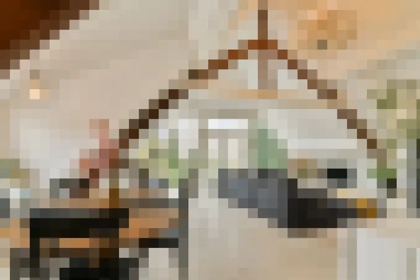 Veerstalblok 47 Gouderak thumbnail 25