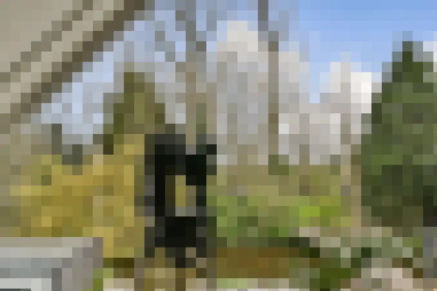 Veerstalblok 47 Gouderak thumbnail 30