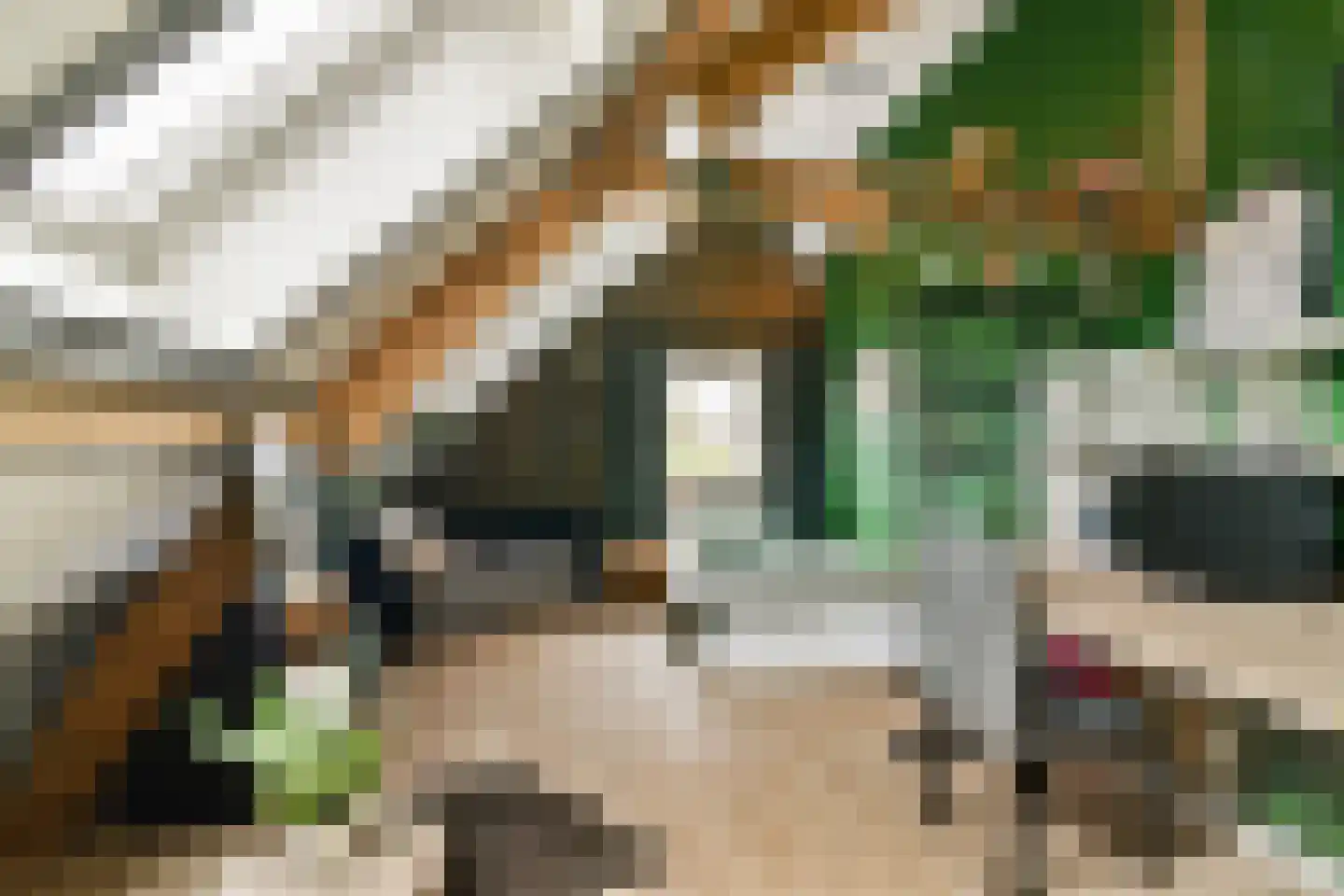 Veerstalblok 47 Gouderak thumbnail 33
