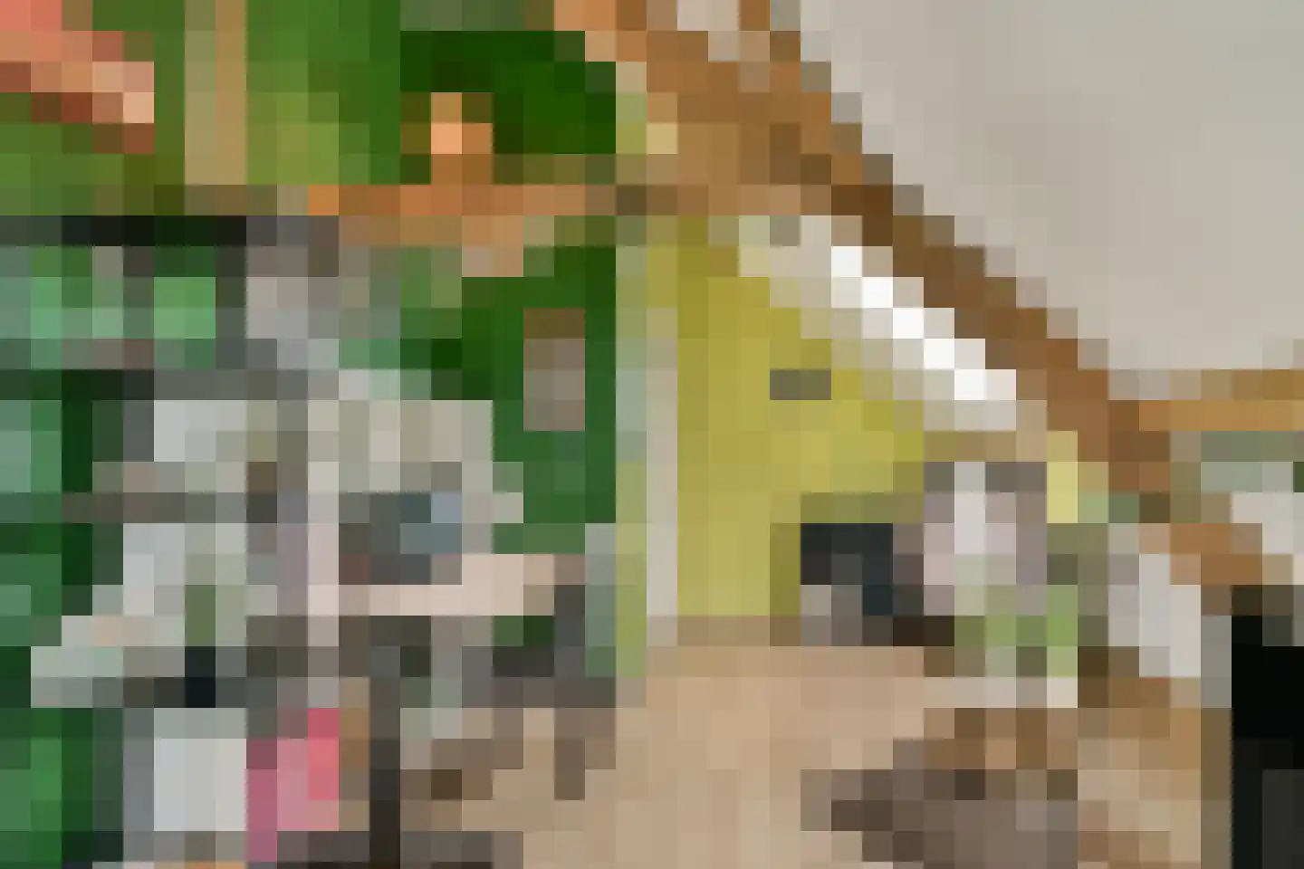Veerstalblok 47 Gouderak thumbnail 34