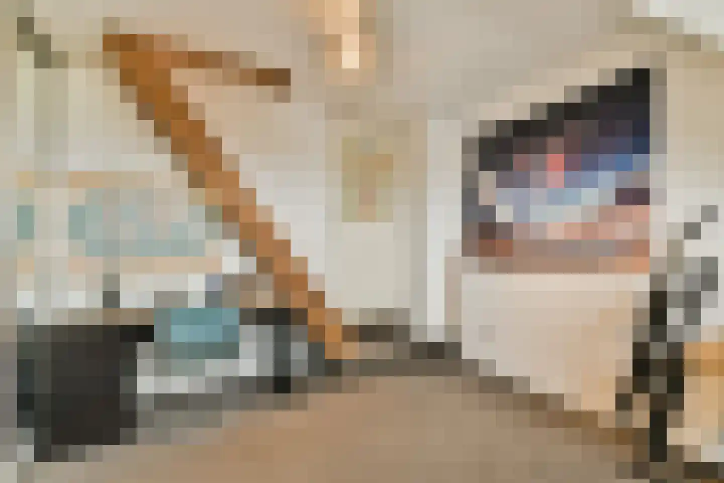 Veerstalblok 47 Gouderak thumbnail 36
