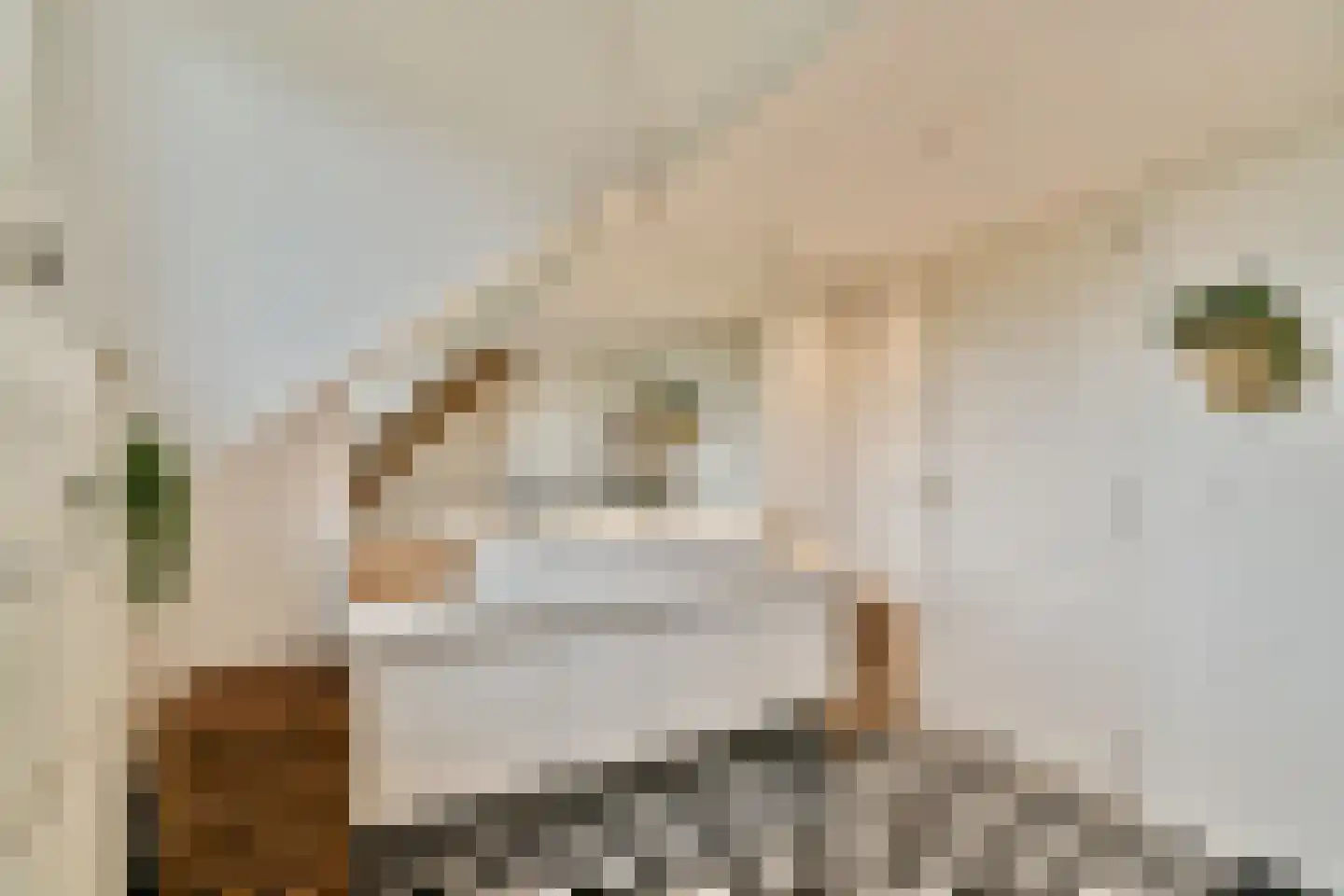 Veerstalblok 47 Gouderak thumbnail 40
