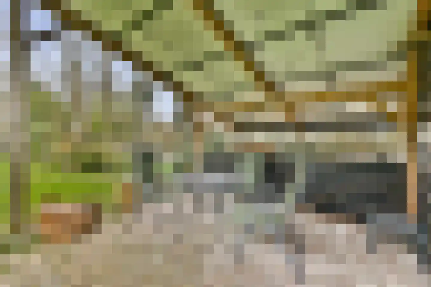 Veerstalblok 47 Gouderak thumbnail 44