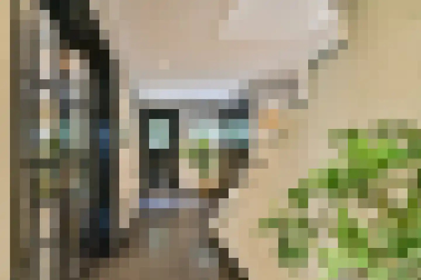 Veerstalblok 47 Gouderak thumbnail 8