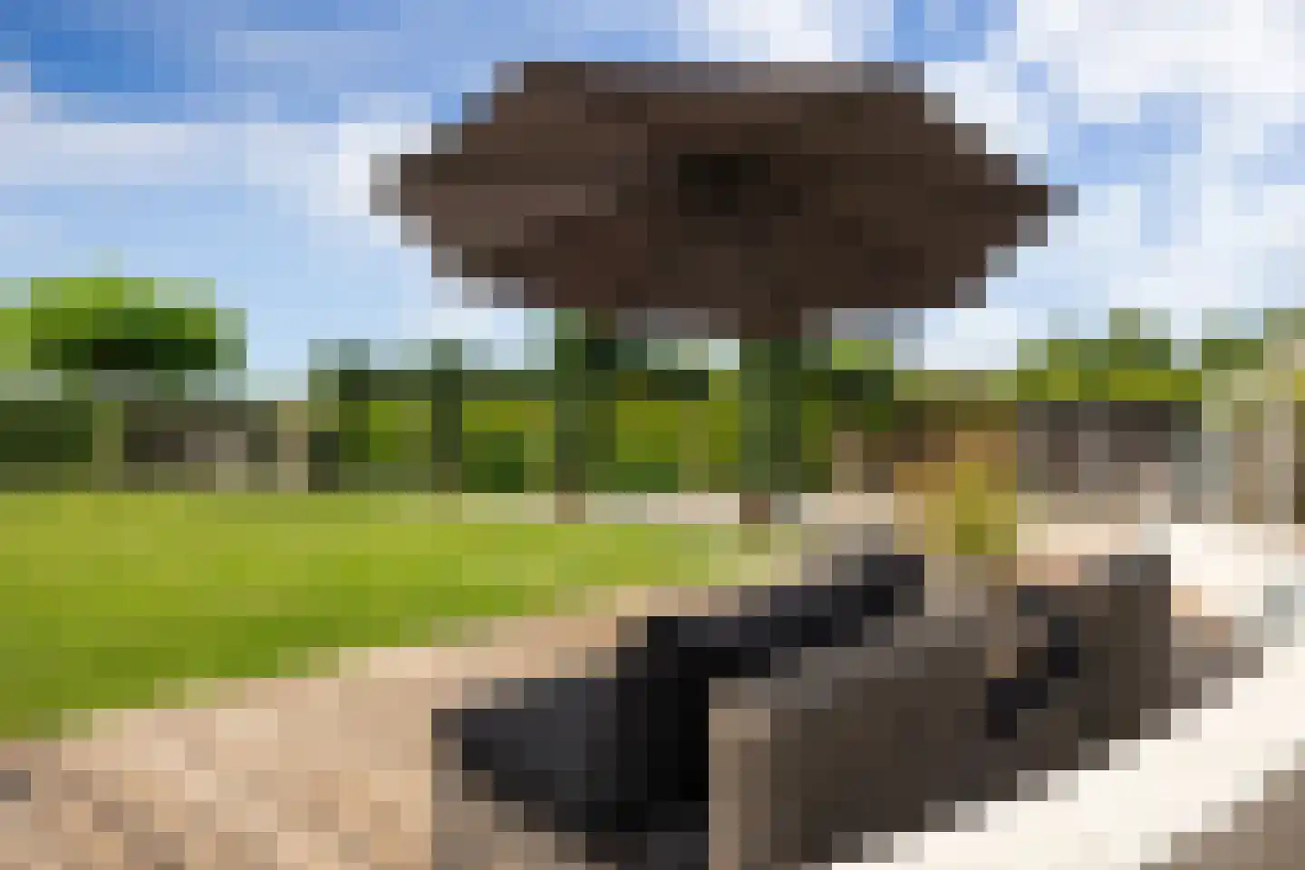 Veersteeg 19 Kerkdriel thumbnail 16
