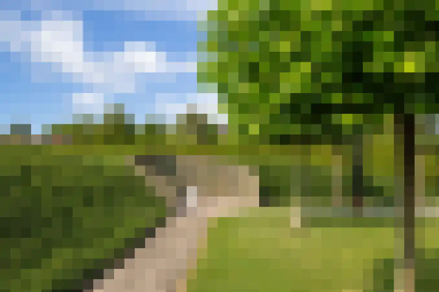 Veersteeg 19 Kerkdriel thumbnail 18
