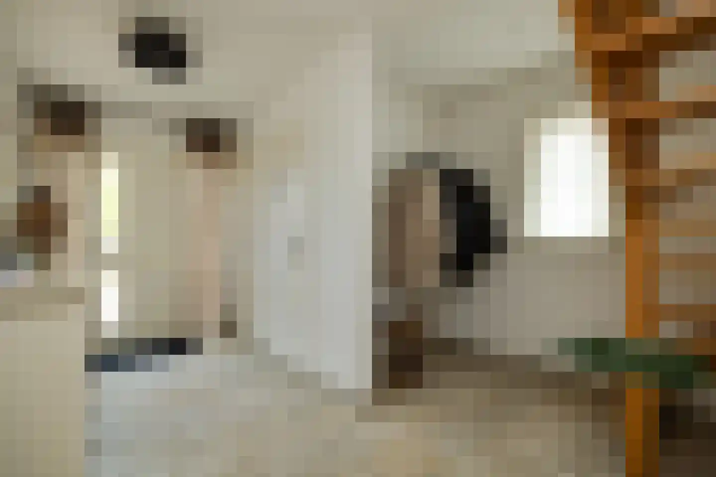 Veersteeg 19 Kerkdriel thumbnail 22