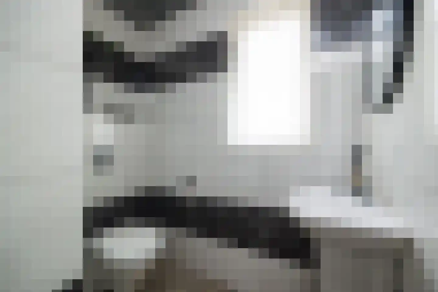 Veersteeg 19 Kerkdriel thumbnail 23