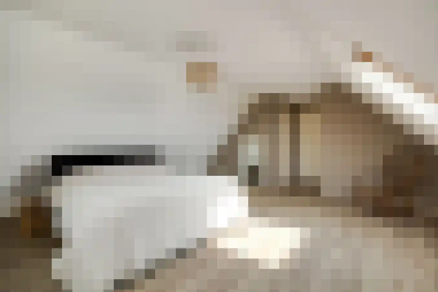 Veersteeg 19 Kerkdriel thumbnail 43