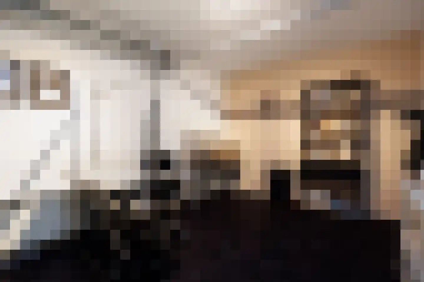 Veersteeg 19 Kerkdriel thumbnail 55