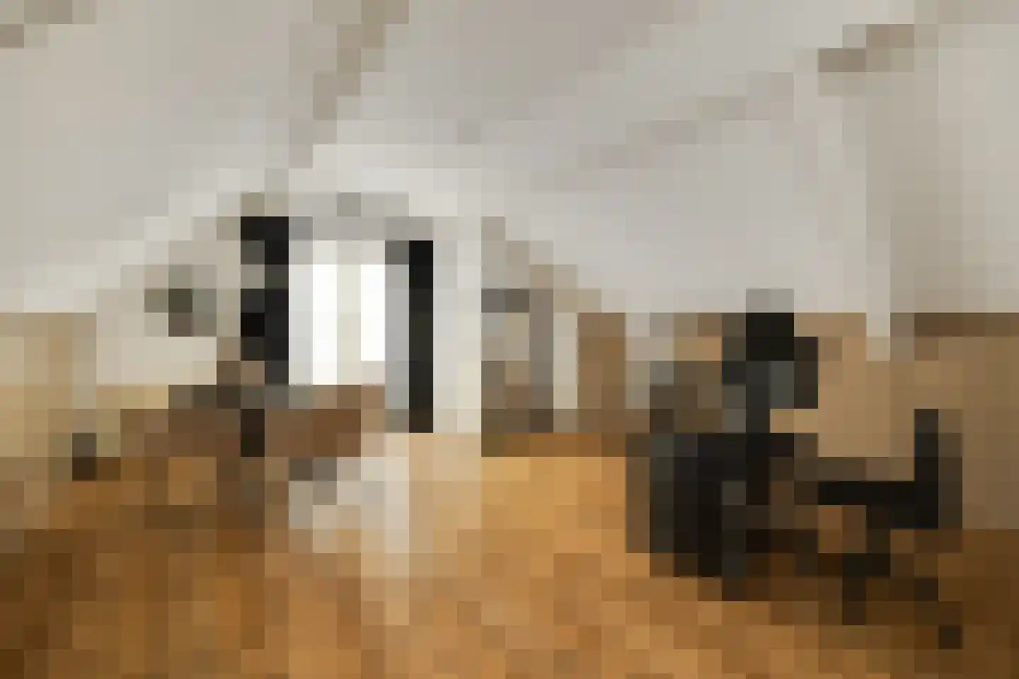 Veersteeg 19 Kerkdriel thumbnail 57