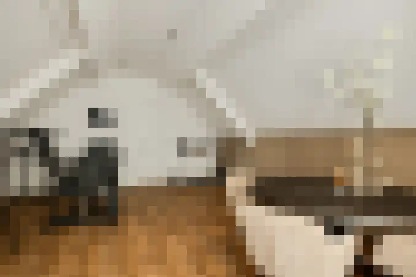 Veersteeg 19 Kerkdriel thumbnail 58